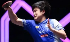 开云体育下载-波兰队绝杀德国队，张本智和扛起全队的简单介绍