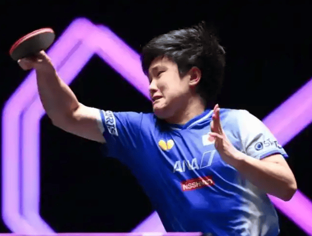 波兰队绝杀德国队，张本智和扛起全队的简单介绍