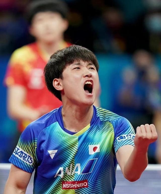 韩国乒乓球队横扫比利时乒乓球队，张本智和制霸全场的简单介绍